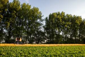 Tente Hussarde NaïtUp camping sauvage