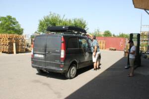 Hussarde installée sur le toit